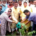 সবুজের মাধ্যমে নারায়ণগঞ্জকে একটি বাসযোগ্য নগরী হিসেবে গড়ে তুলতে চাই:প্রশাসক সাখাওয়াত 