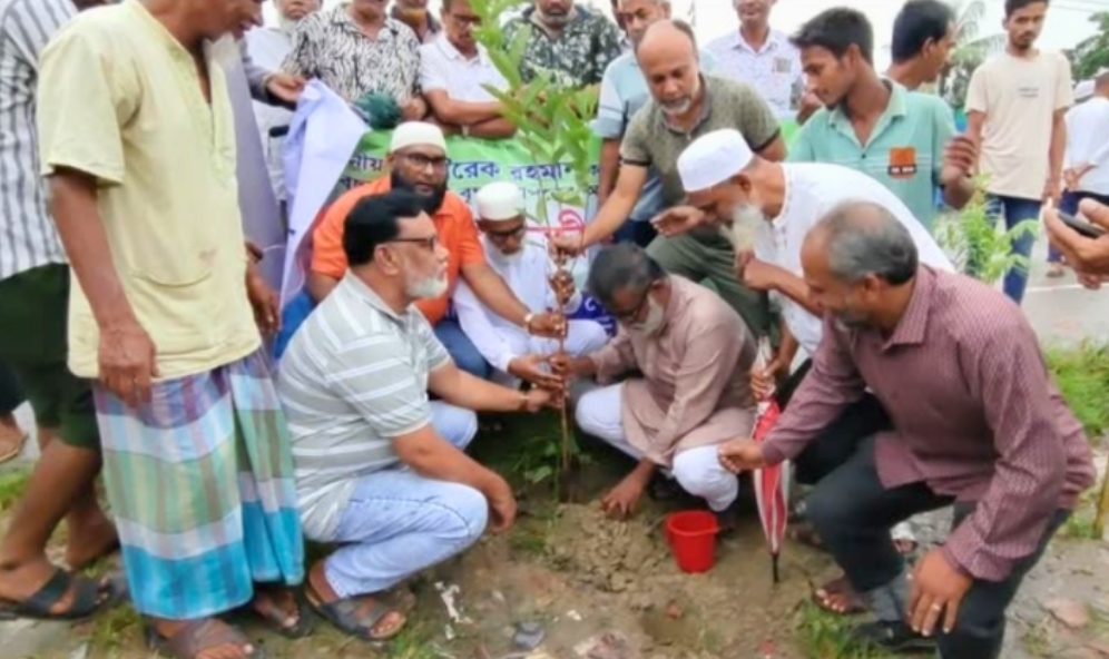 তারেক রহমান ঘোষিত বৃক্ষরোপণ কর্মসূচি অংশ হিসেবে সাবেক যুবদল নেতাকর্মীদের দুই মাসব্যাপী কর্মসূচি অব্যাহত